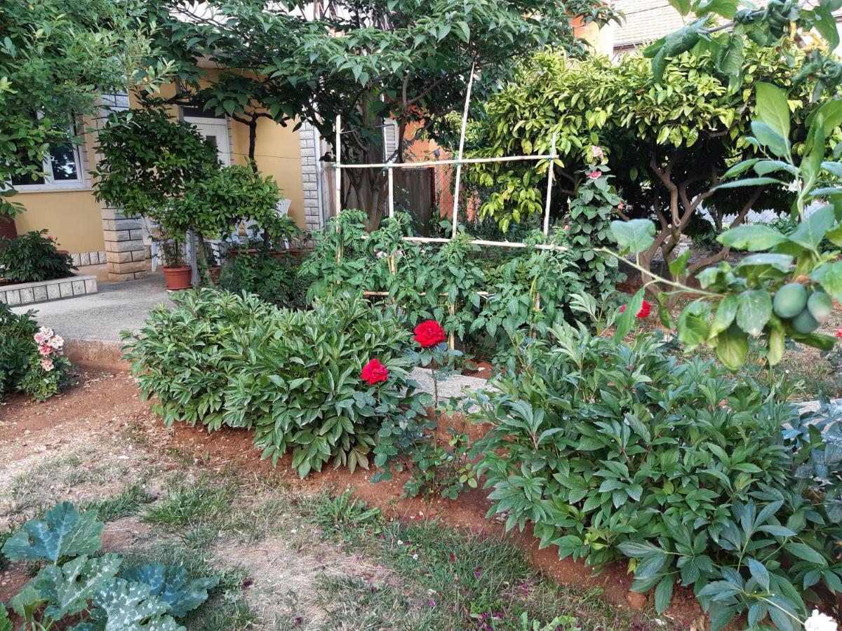 Apartment Jardin With Free Cowered Parking Zadar Exteriör bild