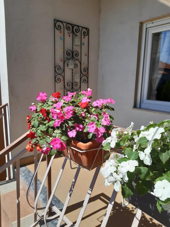 Apartment Jardin With Free Cowered Parking Zadar Exteriör bild