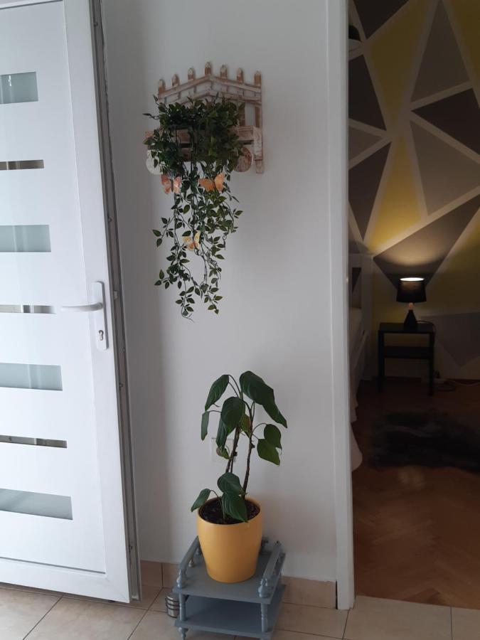 Apartment Jardin With Free Cowered Parking Zadar Exteriör bild