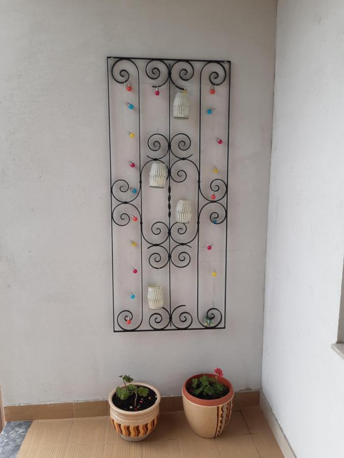 Apartment Jardin With Free Cowered Parking Zadar Exteriör bild