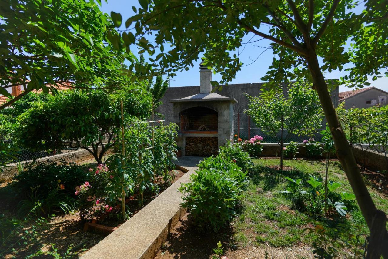 Apartment Jardin With Free Cowered Parking Zadar Exteriör bild
