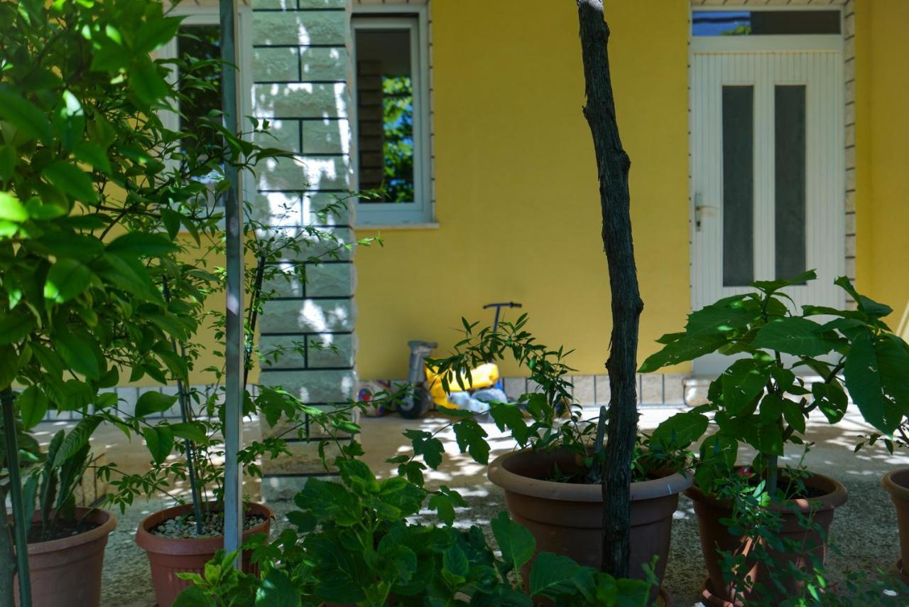 Apartment Jardin With Free Cowered Parking Zadar Exteriör bild